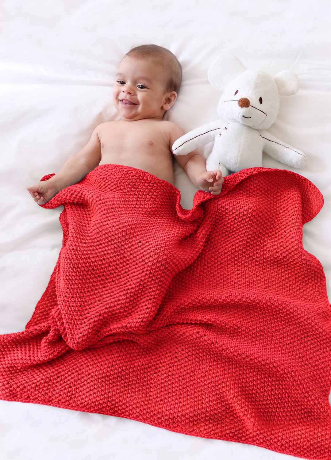 Dragonfly Blanket Kit - Image 5