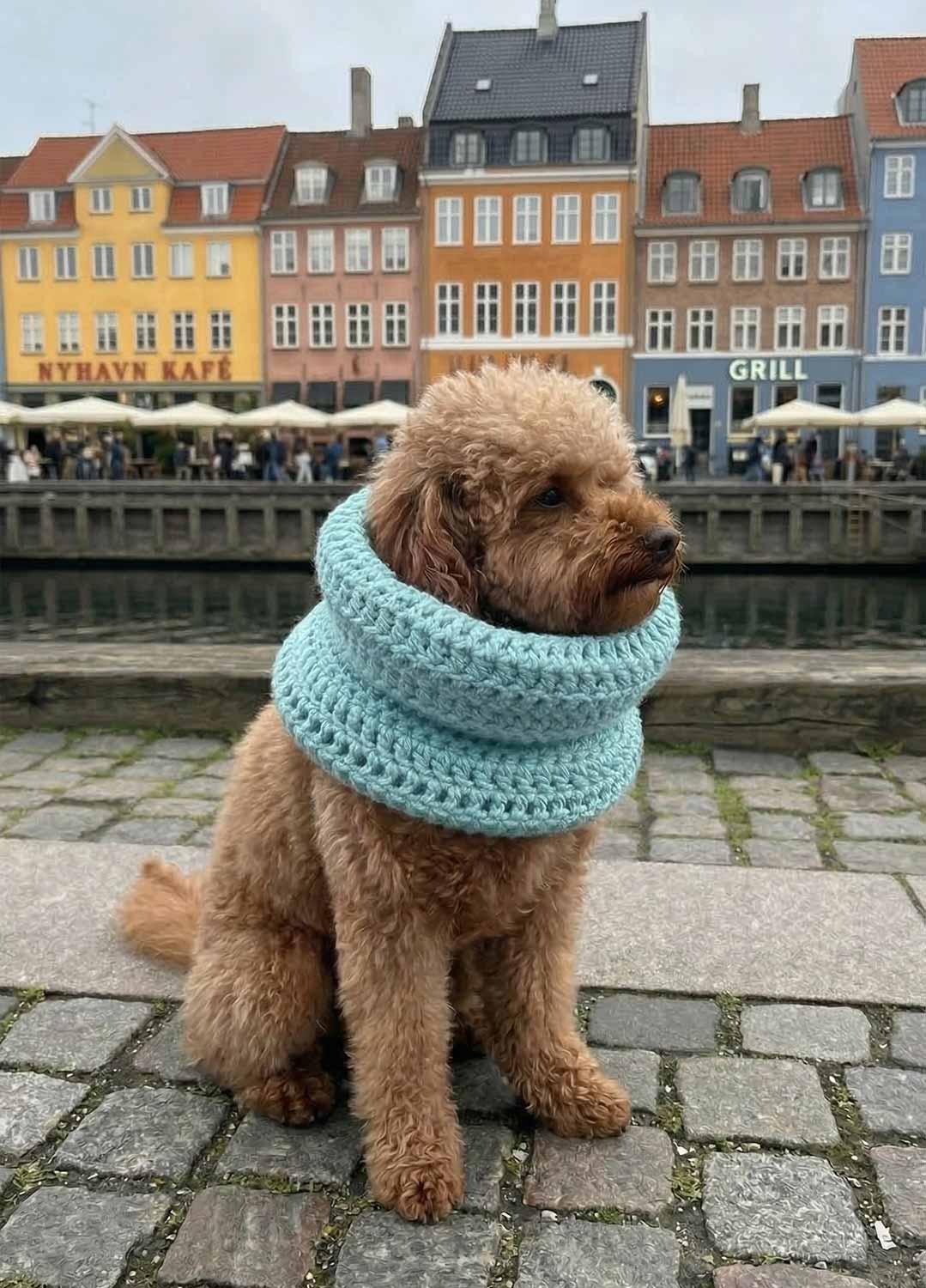 Rex Snood Kit for Pets - Yummy Version - Image 6